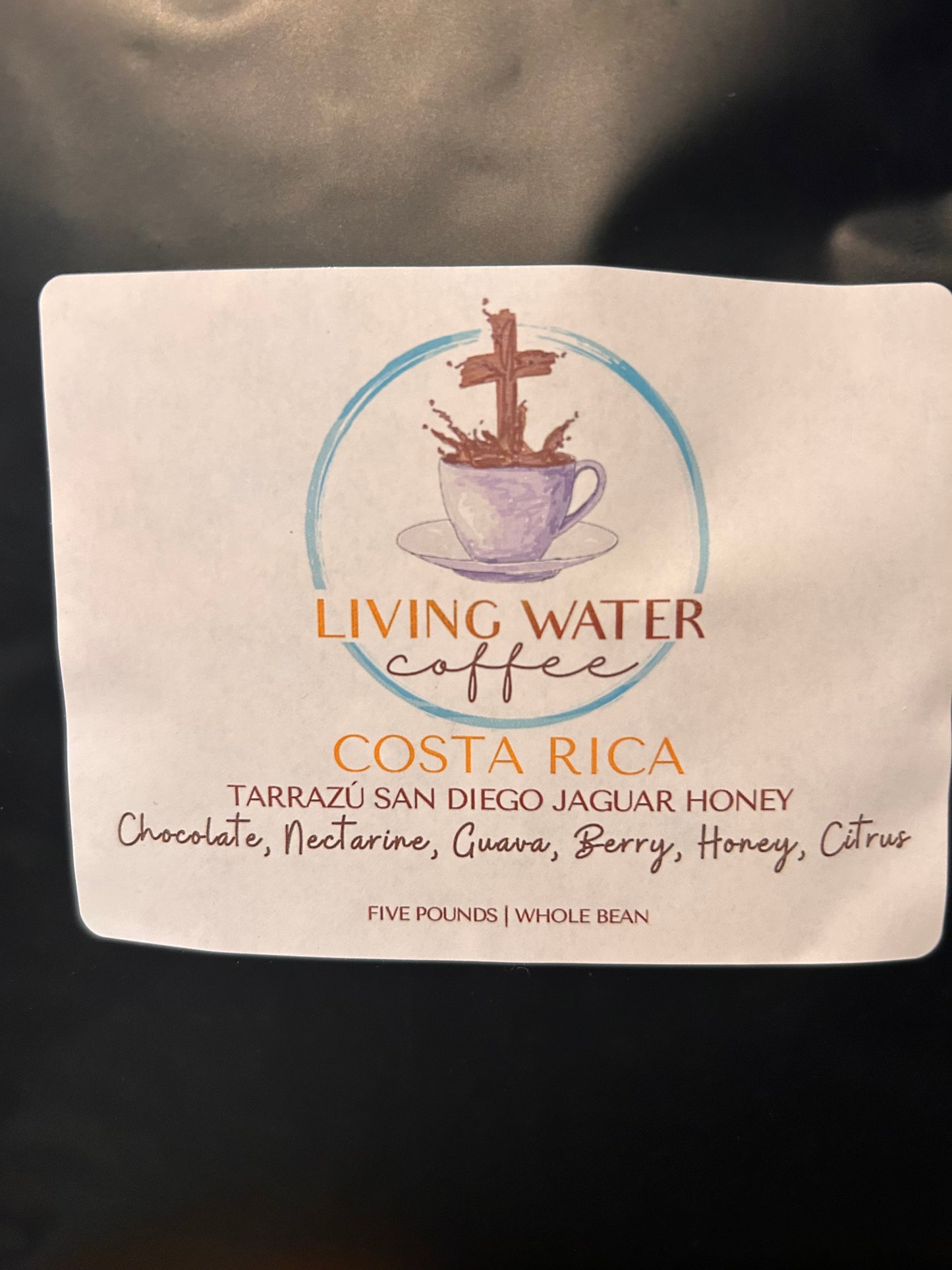 Costa Rica Tarrazú San Diego Jaguar Honey